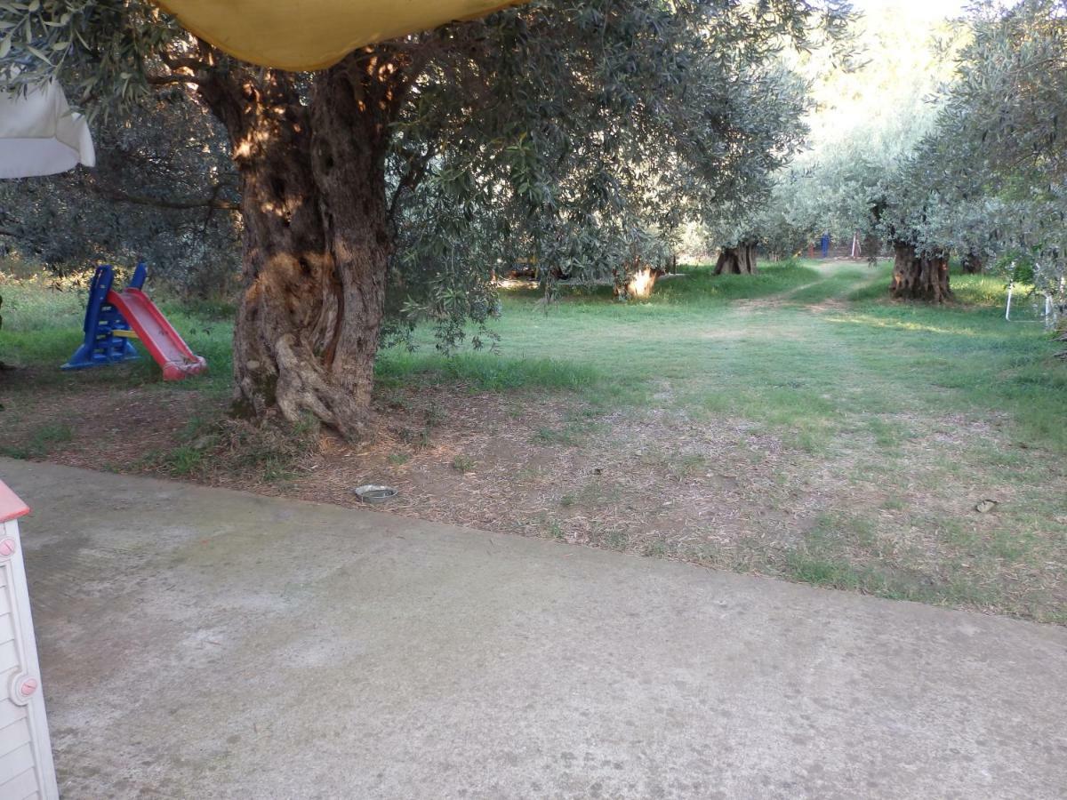 The Small House In The Olive Grove Lefokastro Exterior foto